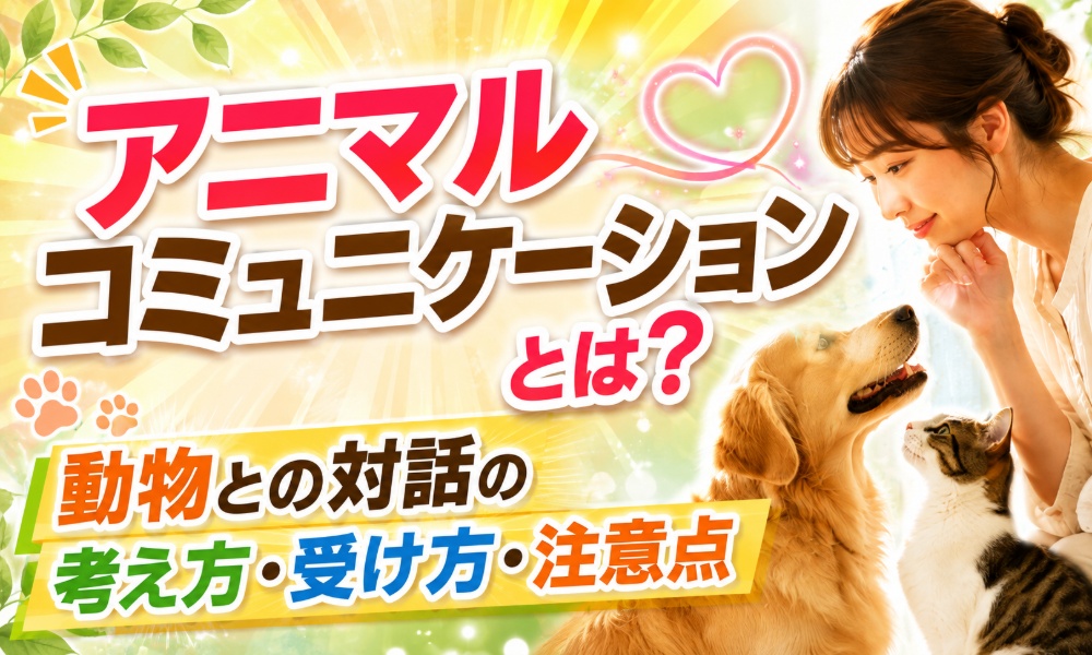 アニマルコミュニケーションとは？動物との対話の考え方・受け方・注意点