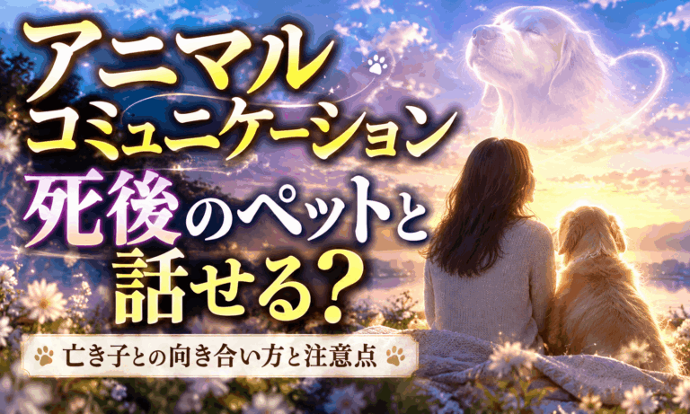 アニマルコミュニケーション 死後のペットと話せる？亡き子との向き合い方と注意点_optimized